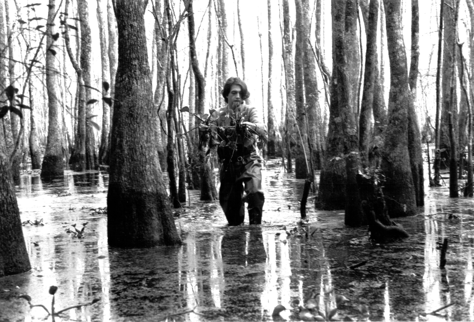 Nelle paludi della Louisiana
