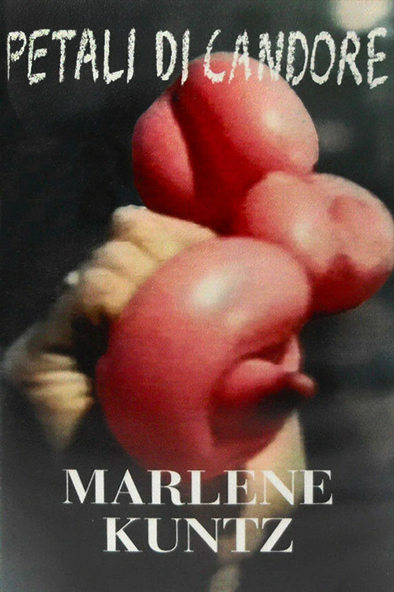 Petali di candore. Marlene Kuntz '96–'97 – foto di scena
